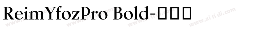 ReimYfozPro Bold字体转换